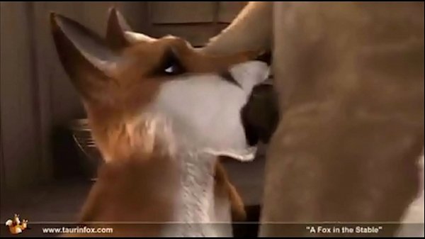 Hot Furry Animated Gif Compilation! Over 70 cartoons! NSFW
